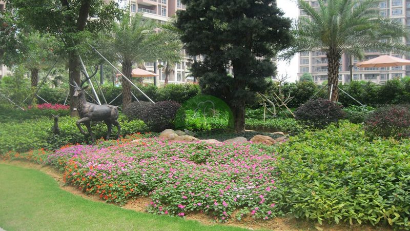 花卉租摆安装多久完成