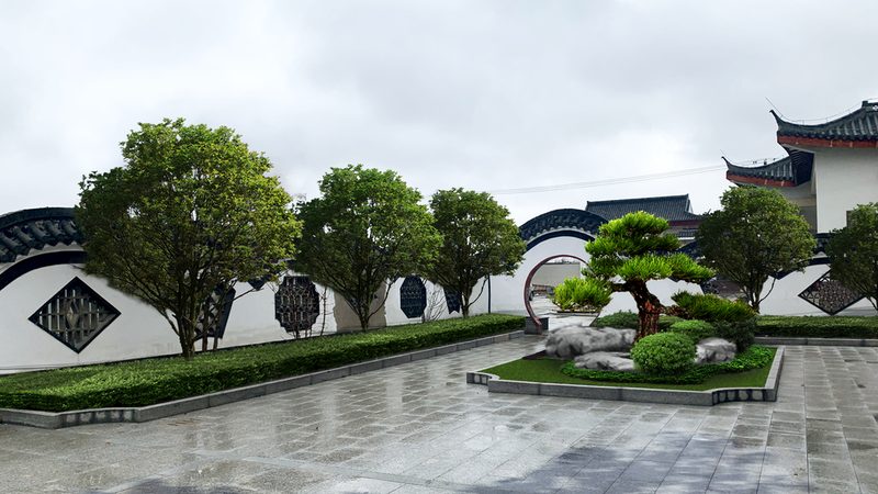 苗木种植成本控制的关键因素解析**