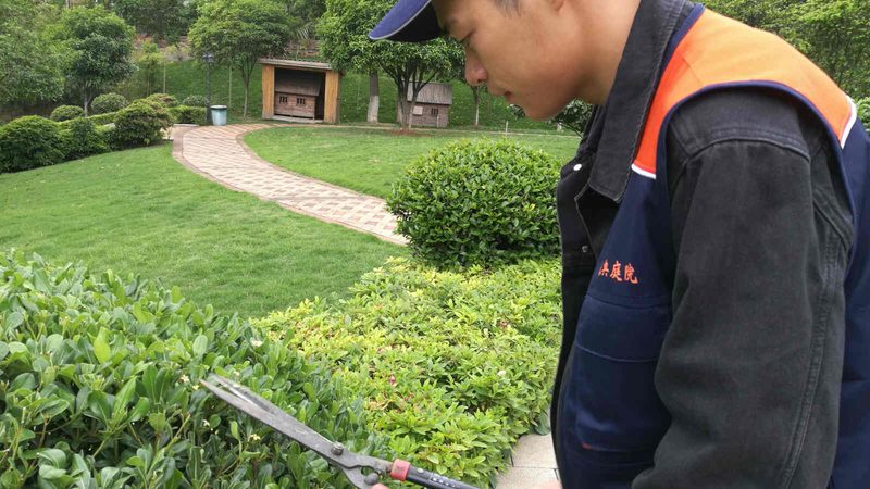 植生袋加盟代理条件：从行业现状看合作门槛与选择关键