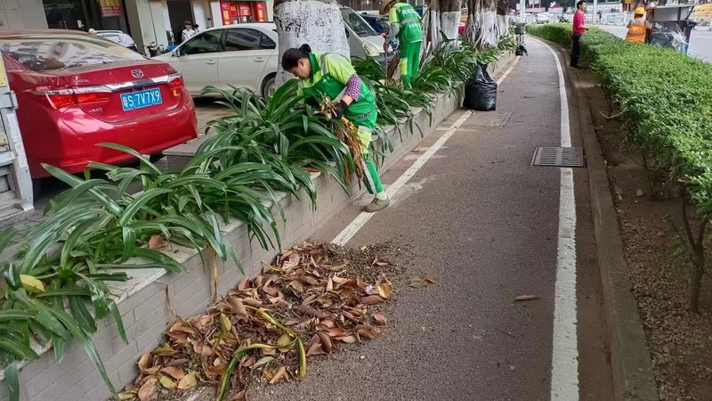 花卉租摆合同里的那些坑，一份免费模板够用吗