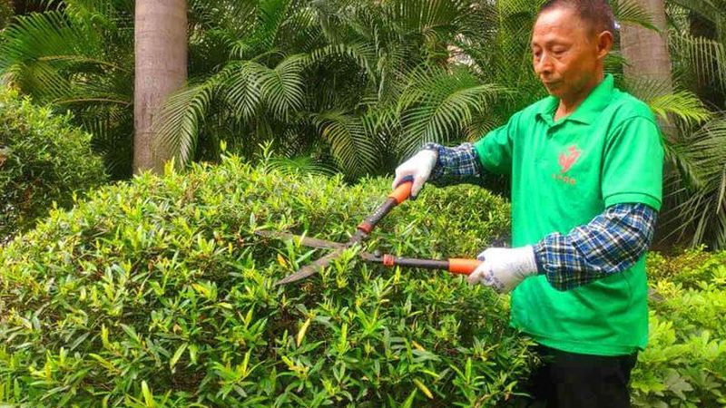 别墅庭院绿化石材选材，如何兼顾美观与实用？**