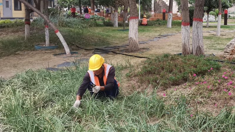 边坡绿化施工资质办理流程详解**