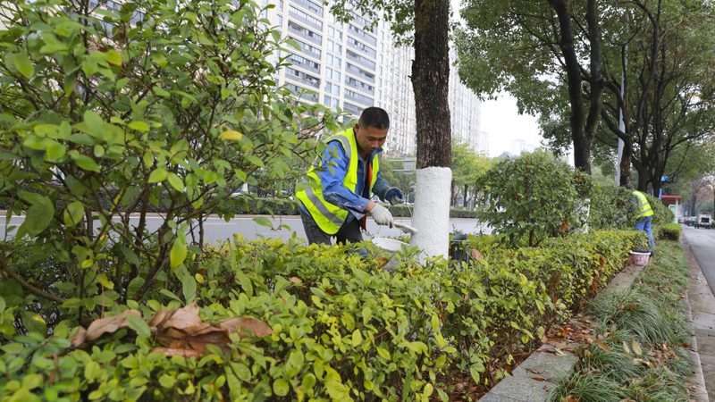 商业区绿化养护：细节决定成败