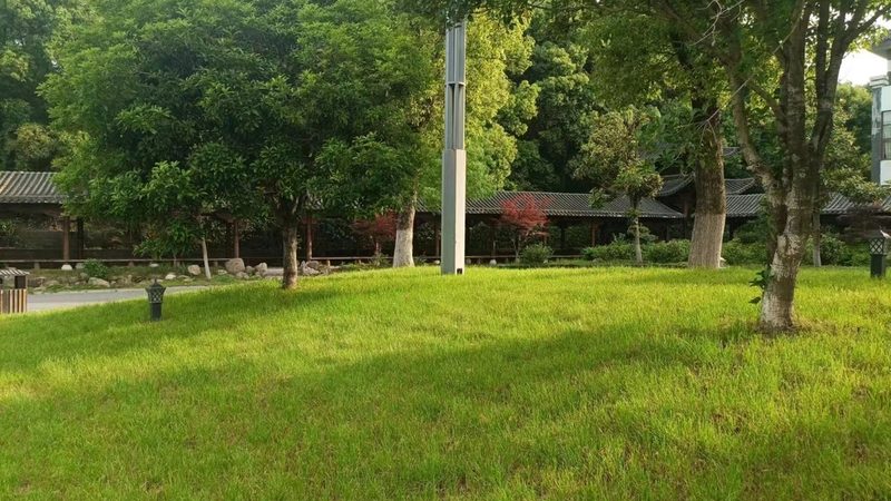 广州草坪养护与修剪：看似相近实则不同的两件事