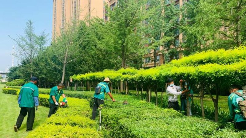 商业区绿化养护：一年四季的工作内容解析